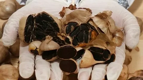 تصویر 4 از سیر سیاه اصل طعمی واقعی و متفاوت در هر دانه